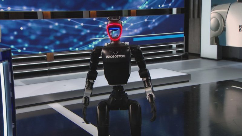 108246861-1767126117561-robo_2.jpg